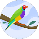 Mudassar Ahmad profile picture
