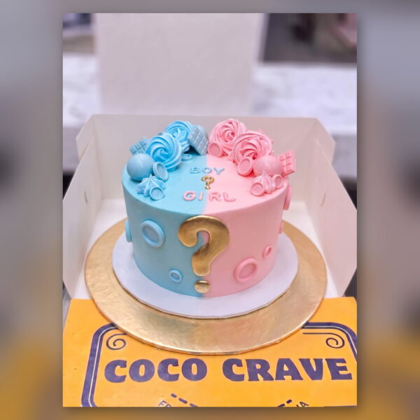Boy or Girl Question Mark Cake in Lahore — delivered in Lake City, Lahore