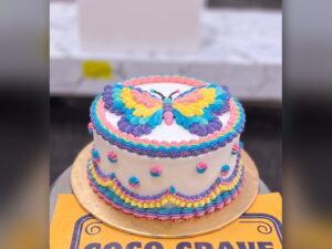 Butterfly Piped Birthday Cake in Lahore — CocoCrave.pk Lahore