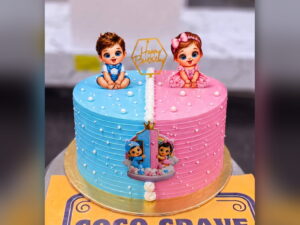 Half Blue Half Pink Twin Babies Cake in Lahore