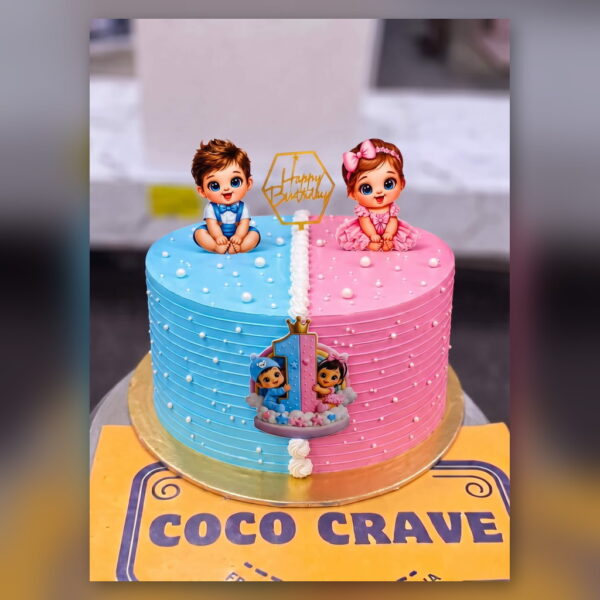 Half Blue Half Pink Twin Babies Cake in Lahore — delivered in Lake City, Lahore