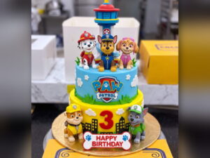 Paw Patrol Cake in Lahore — CocoCrave.pk Lahore