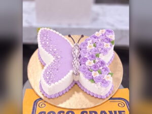 Purple Butterfly Shaped Cake in Lahore