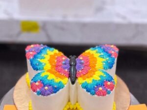 Rainbow Butterfly Pair Cake in Lahore