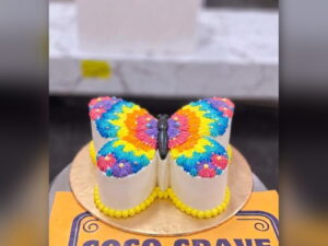Rainbow Butterfly Pair Cake in Lahore — CocoCrave.pk Lahore