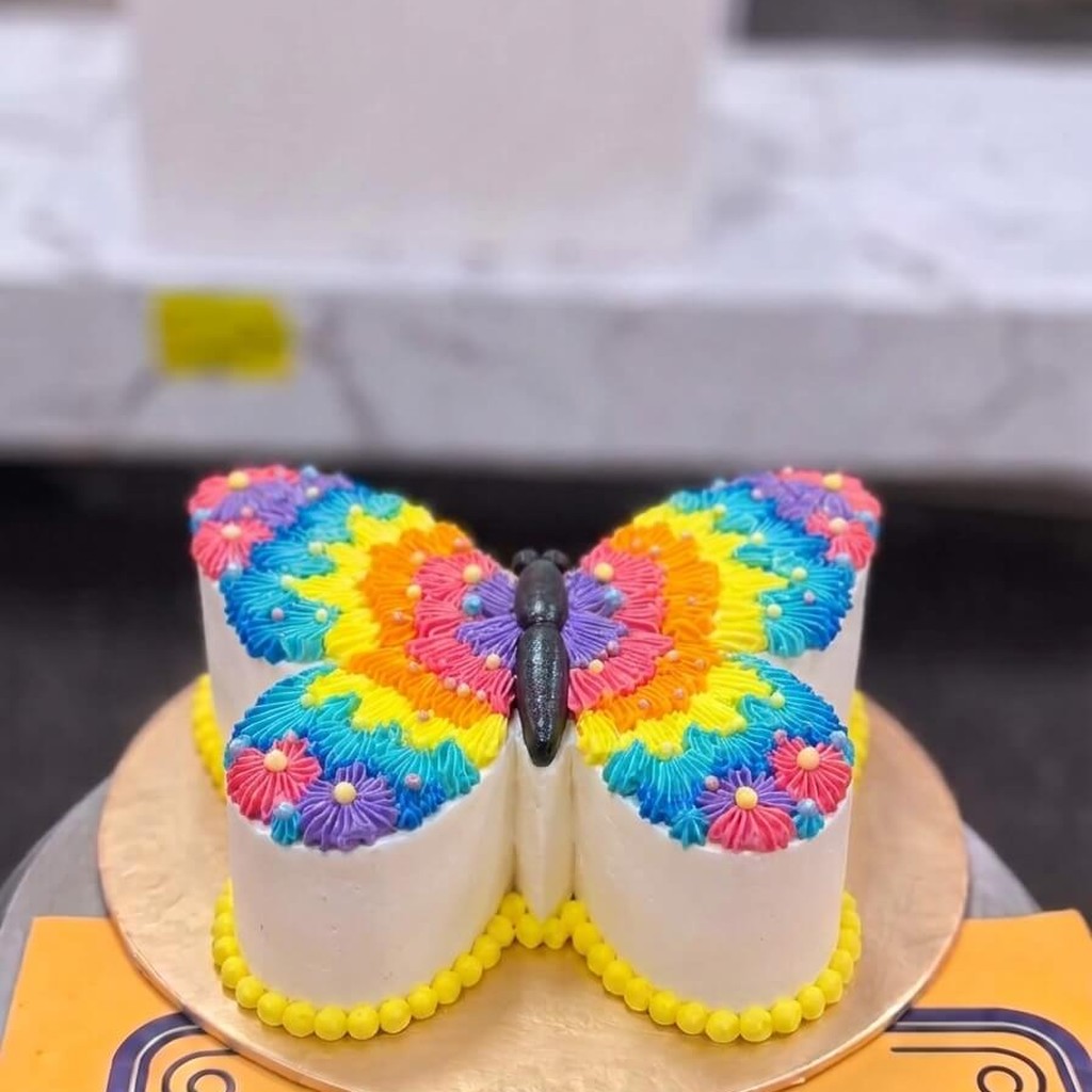 Rainbow Butterfly Pair Cake in Lahore — CocoCrave.pk Rainbow Butterfly Pair Cake in Lahore by CocoCrave.pk — single tier butterfly cake