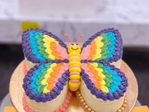 Rainbow Butterfly Shaped Birthday Cake in Lahore