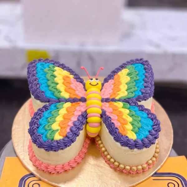 Rainbow Butterfly Shaped Birthday Cake in Lahore — delivered in Gulberg, Lahore