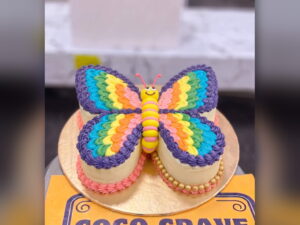 Rainbow Butterfly Shaped Birthday Cake in Lahore — delivered in Lake City, Lahore