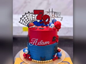 Spiderman Web Shooter Cake in Lahore