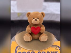 Teddy Hugs in Lahore