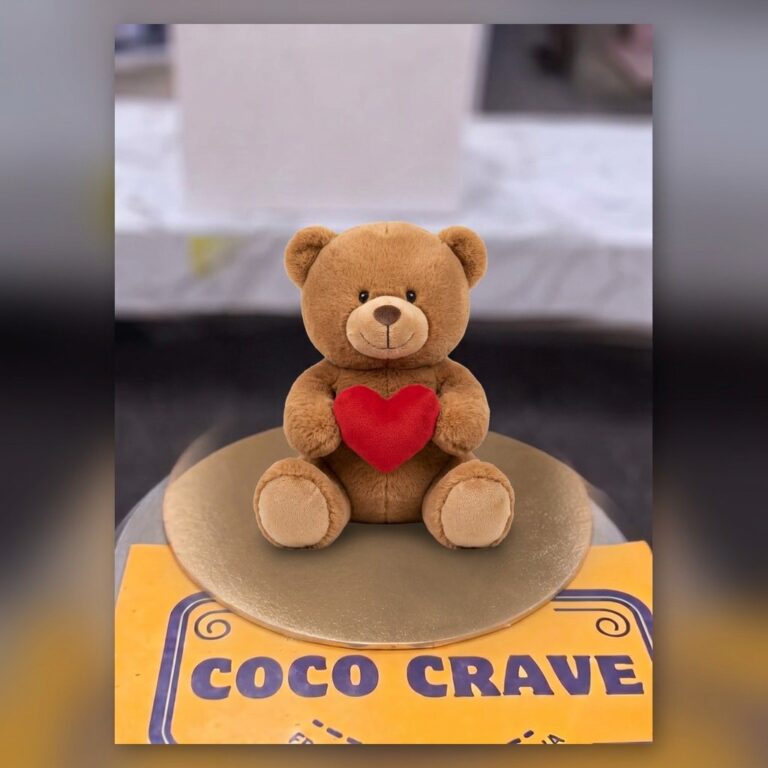 Teddy Hugs in Lahore