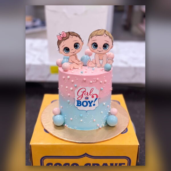 Twin Babies Gender Reveal Cake in Lahore — delivered in Lake City, Lahore